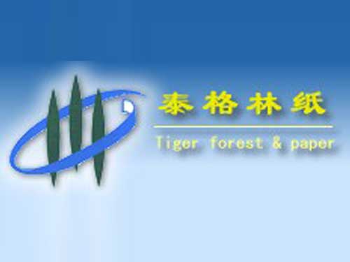 湖南泰格林纸集团有限责任公司